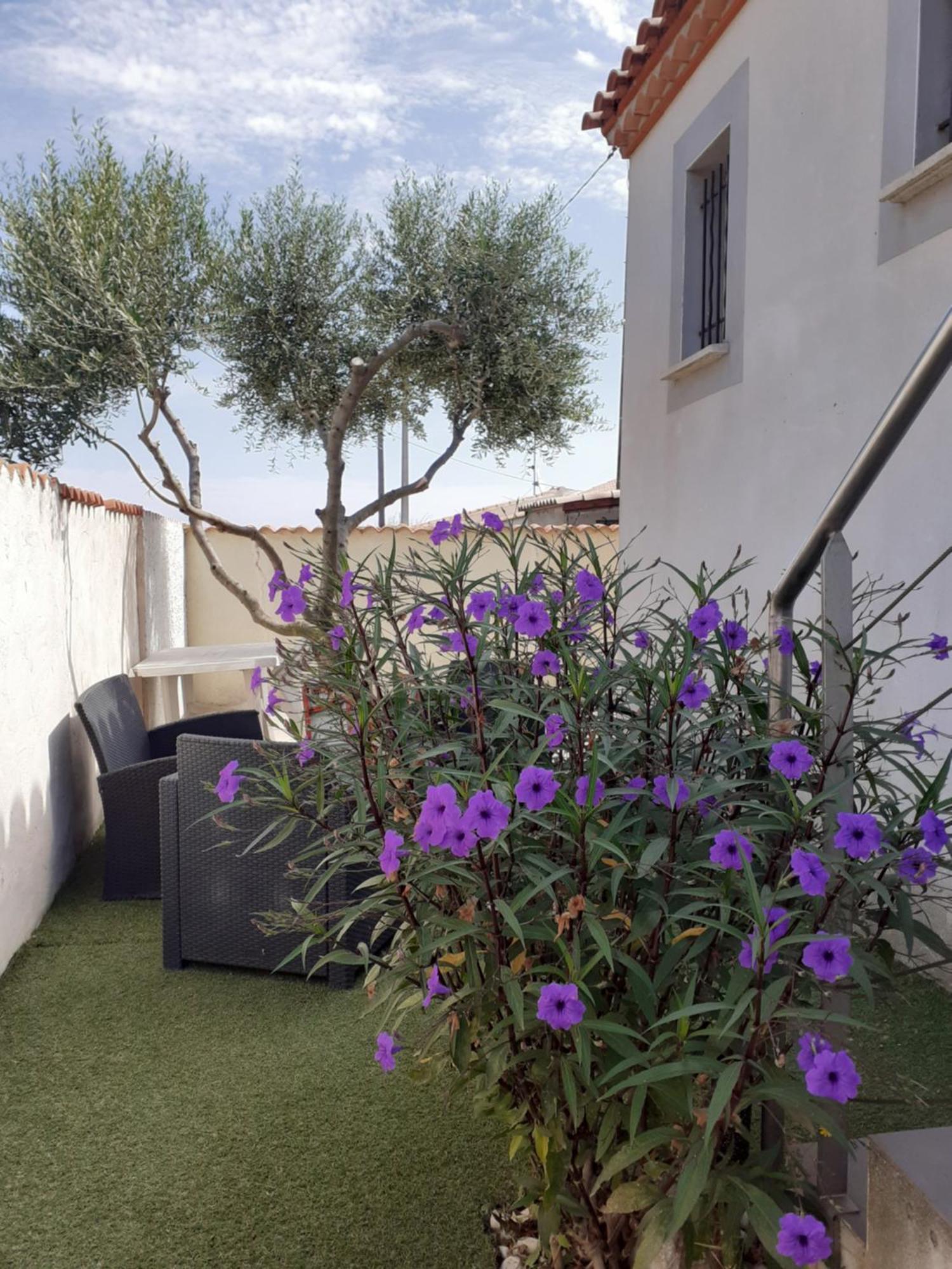 La Petite Maison Au Bord Du Canal T2 - 3Etoiles - フロンティニャン エクステリア 写真